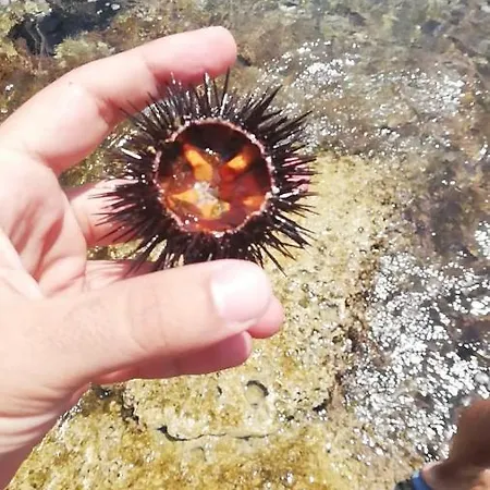 Lavi - Splendido Sul Mare